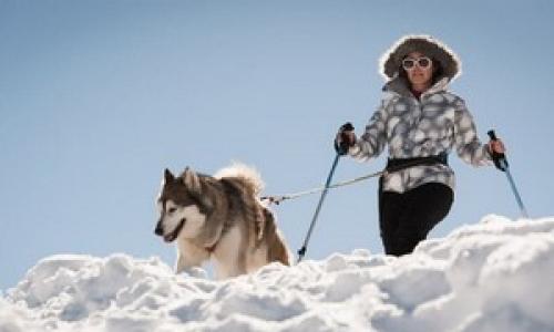 Where to ride a husky in the Moscow region Carriage House 