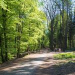 Национальный парк чешский рай