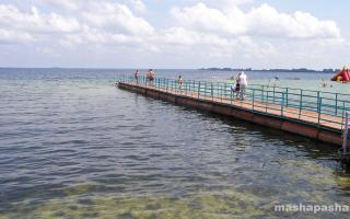 "Shatsk Lakes", Resort.  Reisen durch die Ukraine.  Schatsk-Seen Wo sind die Schatsk-Seen-Karte?