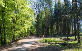 Национальный парк чешский рай