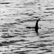 Lochness Scotland.  Loch Ness lake.  Falsifications, errors and controversial facts about the Loch Ness monster