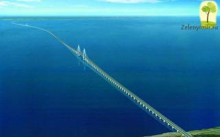 يعد جسر خليج هانغتشو أحد أطول الجسور في العالم