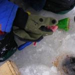 Pescuitul de iarnă: lucruri mici utile